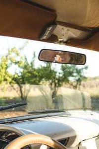 Alex Martinez avatar