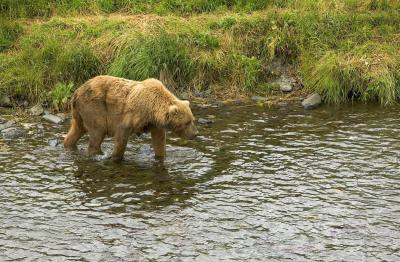 Jonas Richter profile photo
