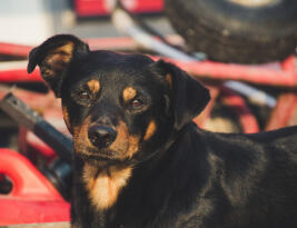 Jonas Richter profile photo