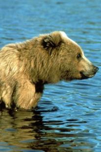 Leo Anders profile photo