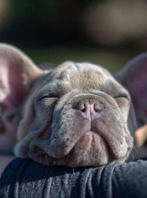 Maya Chen profile photo