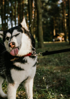 Leo Anders profile photo