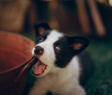 Leo Anders profile photo