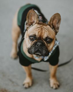 Leo Anders profile photo