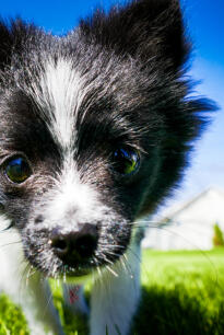 Jonas Richter profile photo