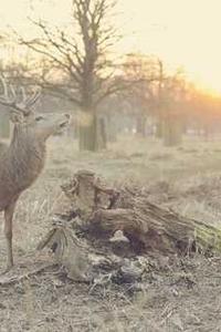 Alex Martinez avatar