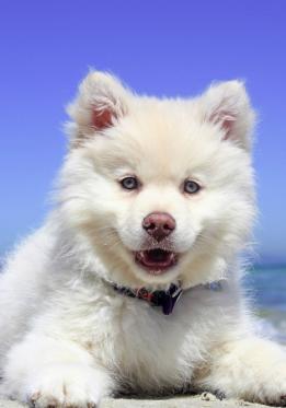 Maya Chen profile photo