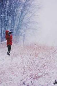 Alex Martinez avatar