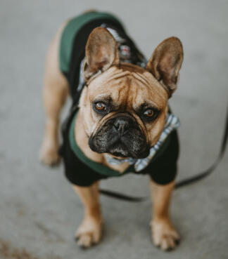 Leo Anders profile photo