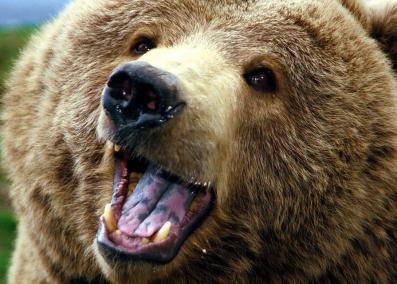 Maya Chen profile photo