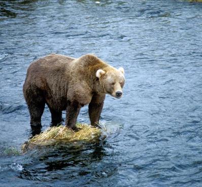 Leo Anders profile photo