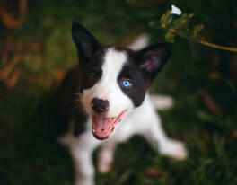 Maya Chen profile photo