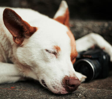 Leo Anders profile photo