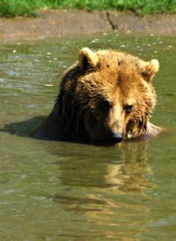 Maya Chen profile photo