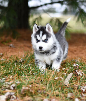 Jonas Richter profile photo