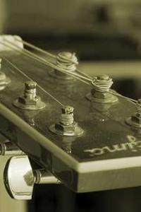 Maya Chen profile photo