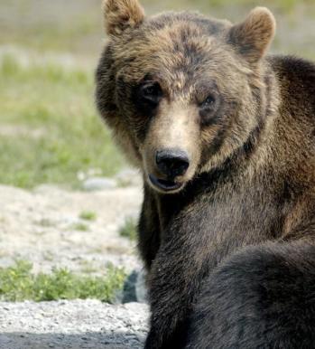 Leo Anders profile photo