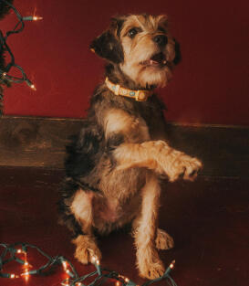 Jonas Richter profile photo