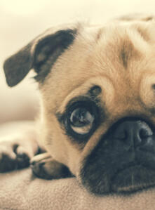 Alex Martinez avatar