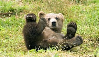 Alex Martinez avatar