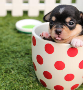 Leo Anders profile photo