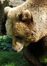 Jonas Richter profile photo