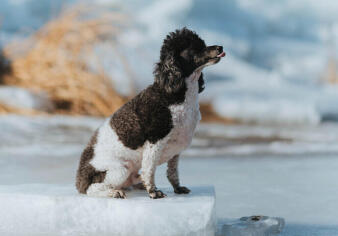 Alex Martinez avatar