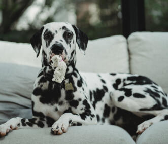 Maya Chen profile photo