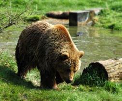 Leo Anders profile photo