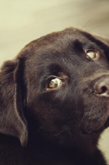 Leo Anders profile photo