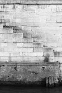 Alex Martinez avatar