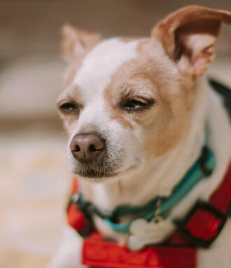 Jonas Richter profile photo