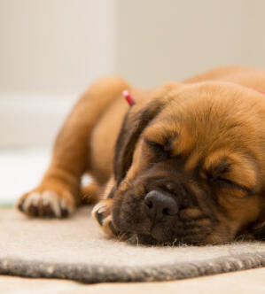 Maya Chen profile photo