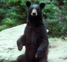 Maya Chen profile photo