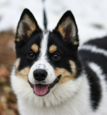 Jonas Richter profile photo