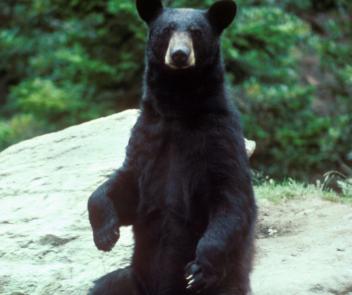 Maya Chen profile photo