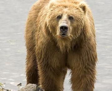 Maya Chen profile photo