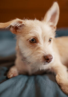 Jonas Richter profile photo