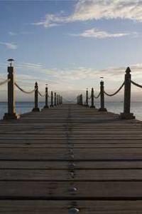 Alex Martinez avatar