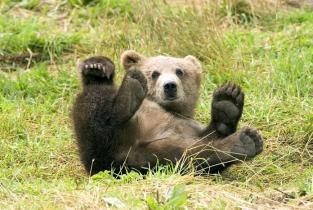 Leo Anders profile photo