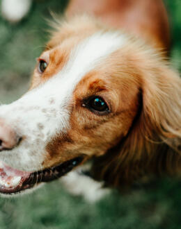 Jonas Richter profile photo