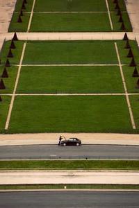 Alex Martinez avatar