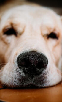 Maya Chen profile photo