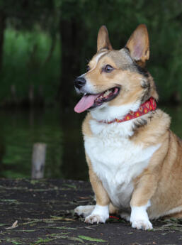 Jonas Richter profile photo