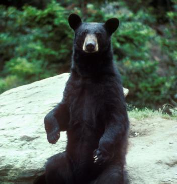 Leo Anders profile photo