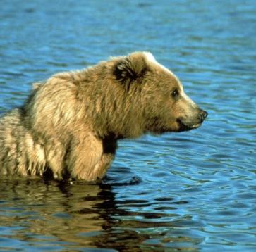 Leo Anders profile photo