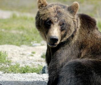 Maya Chen profile photo