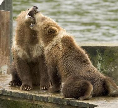 Leo Anders profile photo