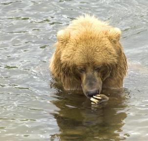 Jonas Richter profile photo