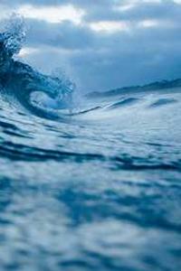 Alex Martinez avatar